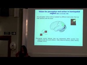 Monika Harvey - ‘Dual Route models of visual processing’