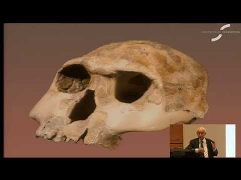Les grandes étapes de l'évolution morphologique et culturelle de l'Homme