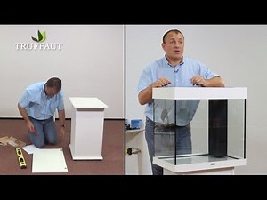 Où installer son aquarium ? - Truffaut