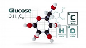 clip-6959302-glucose-molecule-model-light-version-loop