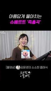거침없이 몰아치는 슈베르트 즉흥곡 #슈베르트 #피아노 #클래식