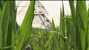 High-tech network connects Midwest farmers to crop data