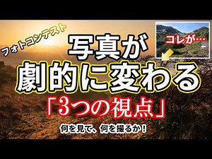 【脱・初心者】あなたは何を撮っていますか？写真が劇的に変わる「3つの見方」