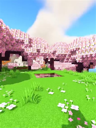 Minecraft Time Accelerator -