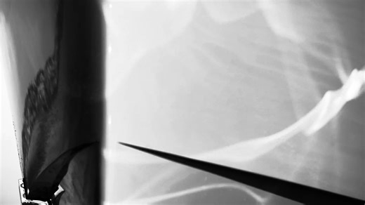 Standout Interiors of 2024