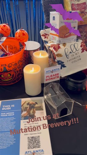 Fundraising and social event until 5pm! | Atlanta Boxer Rescue