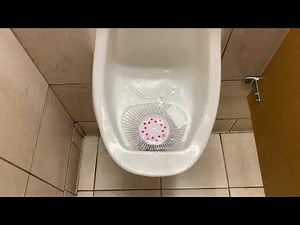 🚽 Bathroom Tour: Eljer and American Standard Urinals with Eljer Toilet Belk Lynchburg