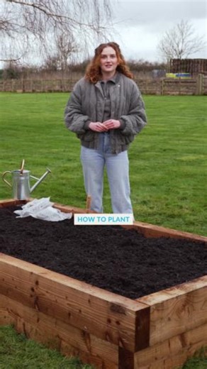 2.5K views · 23 reactions |  How to plant Dahlia Tubers  Dahlias...