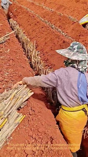 Hand Planting Seeds: A Simple Gardening Skill