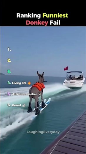 Ranking Funniest Donkey Fails 💀