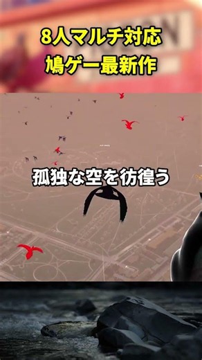 【8人マルチ】ガチで鳴き合う「鳩の婚活ゲーム」がカオスすぎる【Pigeon A Love Story】