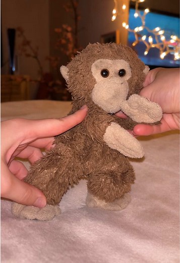 Monkey Funk: Little Monkeys Dancing Tonight