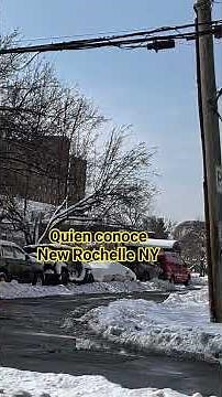 New rochelle NY #2026 #westchestercounty#snow