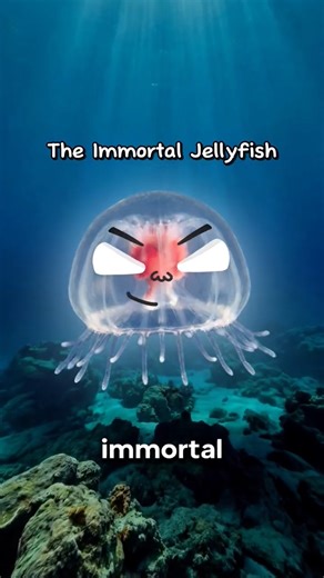 This Jellyfish Refuses to Die — It Restarts Its Life!