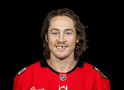 Tyler Bertuzzi Career Stats - NHL - ESPN