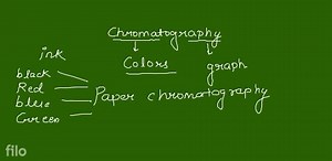 separation of mixture of oil and water. during extraction of ir... | Filo