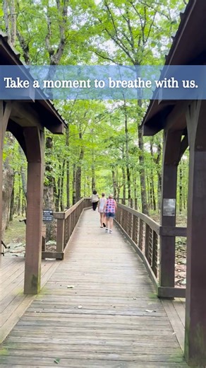 Take a moment to relax and breathe. 💚 Alabama State Parks are here to help you unwind in the Great Outdoors during #MentalHealthMonth. #AlabamaStateParks #ALstateParks #mentalhealthmatters #mentalhealthawareness #mentalhealth #mentalwellness | Alabama State Parks Division