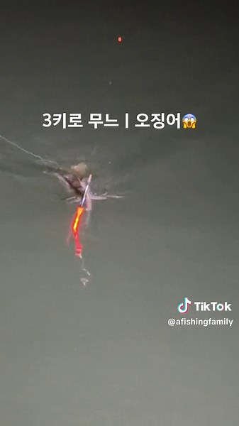 #낚시 #낚시꾼 #낚시영상 #낚시유튜버 #낚시하다 #대박 #무늬 #무늬오징어 #에깅 #우끼낚시