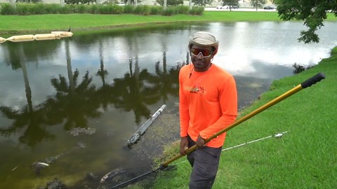 Zombie Fish Caught - 1 in 100,000,000 Mutant Discovery