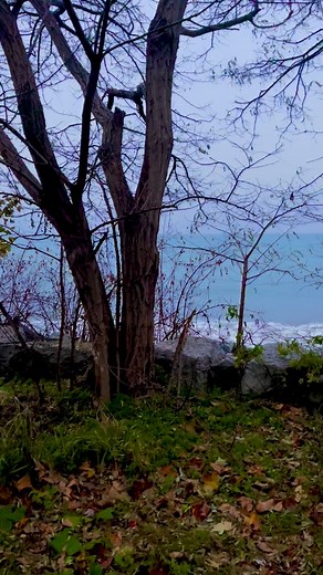 Scarborough Bluffs Park West Beach #scenic #canada #ontario #autumn #beach | Angelo Garcia