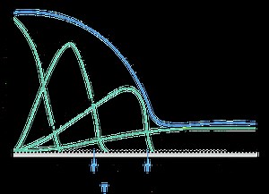 Physiological Responses