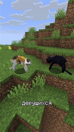 Cats fighting in #minecraft #shorts #minecraft