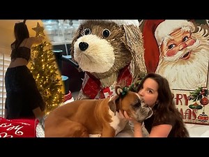 decorating for christmas vlog!!! | Jules LeBlanc