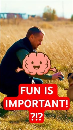 The Evolutionary Purpose of Fun
