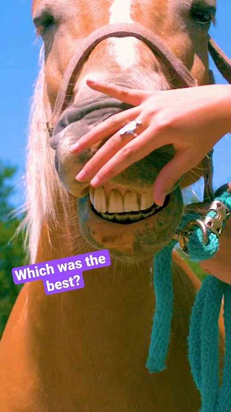 Animals in super slow motion! 🎥