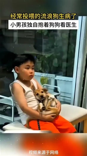 🇨🇳 纯真赤子心：经常投喂的流浪狗生病，小男孩独自抱着它去医院求医 🇬🇧 Boy Carries Sick Stray Dog to Vet
