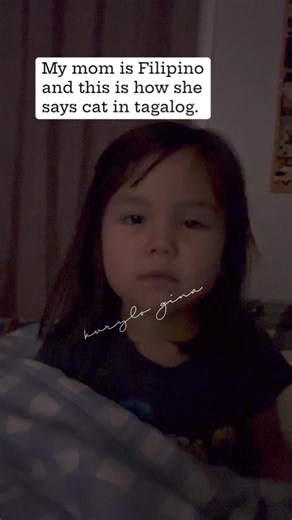 3.8K views · 95 reactions | What do you call a cat in tagalog? Mom says mingming 樂 #filipino #pinoy #confused #lol | Kurylo Gina | Facebook
