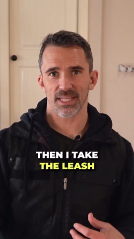 How to Easily Stop Behavioral Issues; Dog Training