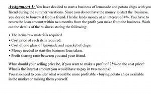 Assignment 1: Lemonade and Potato Chips Business PlanYou and ... | Filo