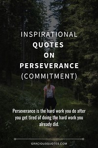 78 Inspirational Quotes on Perseverance (COMMITMENT)