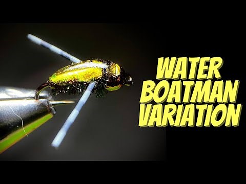 Fly Tying Tutorial | Water Boatman Pattern