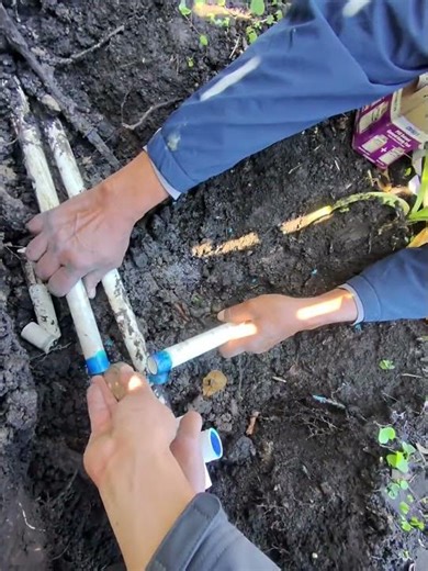 Broken pipe sprinkler system #sprinklerline #plumbing #sprinklerrepair