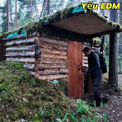 85K views · 1.4K reactions | Shelter 30 hours alone with hungry wolf pack outside my Log cabin in the forest | VMPC Camping | Facebook