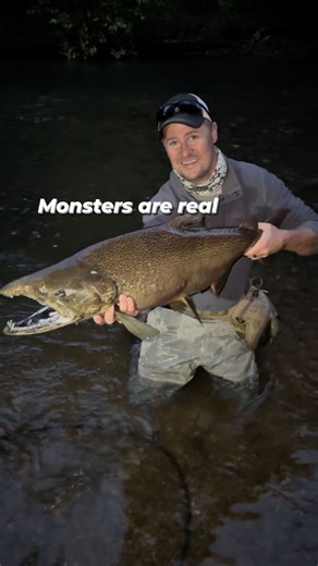 153 reactions · 18 shares | Biggest fish of the year! #dripfishcoffee #coffee #salmon #michigan #fishing #flyfishing #outdoorlife | Dripfish Coffee | Facebook