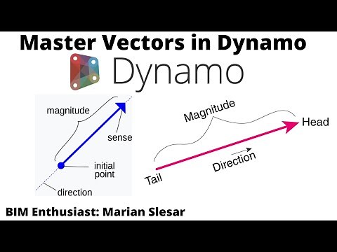 Master Vectors in Dynamo | Essentials | Part 1