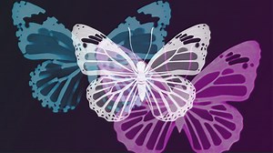 Image Processing Onramp Overview