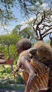 1.5M views · 16K reactions | carrying like a baby, simplest way to carry baboon | African Remotes Explorer | Facebook