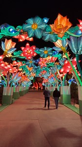 15K views · 99 reactions | The Omaha's Henry Doorly Zoo and Aquarium light show this season is seriously a must! Number ONE zoo in America & Number ONE light show! 女 #henrydoorlyzoo #omahazoo #lightshow #Omahanebraska #christmaslights | Andrea L. Norris | Facebook