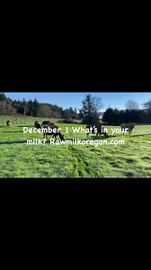 15 reactions | Heritage Family Farms on Reels | Facebook