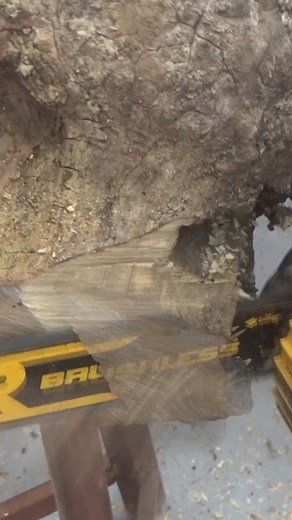 84K views · 1.6K reactions | Woodturning a giant black locust firewood #firewood #woodcarving #woodturningshop | David's Woodturning | Facebook