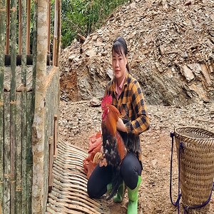 27K views · 895 reactions | Build a chicken coop on a new farm, move chickens to raise | Na Building | Facebook