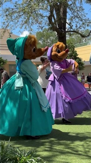 Cinderella’s Mice at Disney’s Hollywood Studios #cinderella #disneyshollywoodstudios
