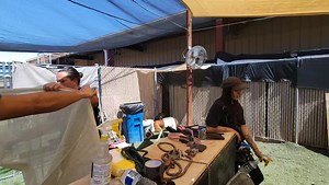 6K views · 355 reactions | We are trying to stay positive, but more animals are coming in than going out. We are drowning in dogs! Please consider fostering or adopting, we need our community to help us please! | Pinal County Animal Care and Control | Facebook