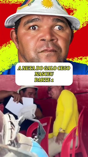 A neta do galo cego: Parte 1