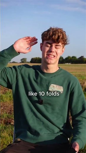 From Scroll to Income