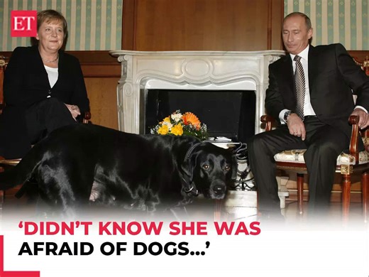 'Angela, please forgive me…': Putin apologises to ex-German Chancellor Merkel for dog incident